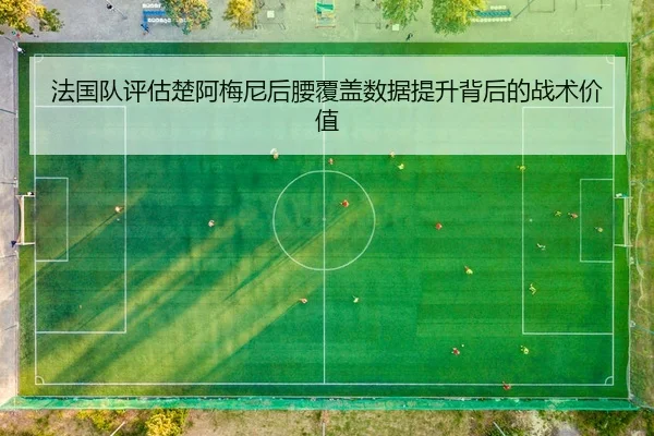 法国队评估楚阿梅尼后腰覆盖数据提升背后的战术价值